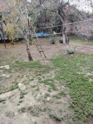 Həyət evləri və villaların satışı: M.Ə. Rəsulzadə qəs. 4 otaqlı, 70 kv. m, Orta təmir — 14