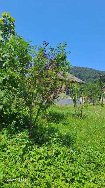 дом на колесах в баку аренда: 5 kv. m, 3 otaqlı, Hovuzsuz, Qaz, İşıq, Su