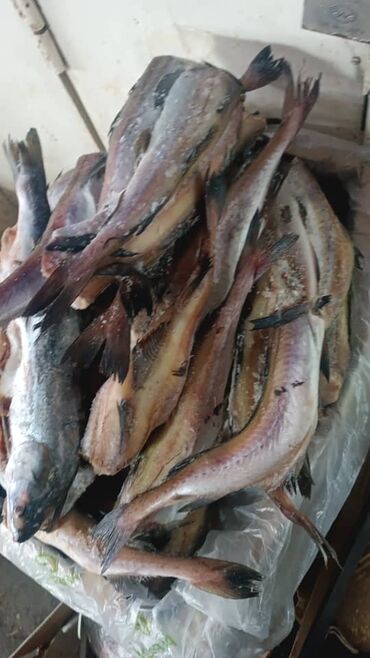 Птица: Курица :, До 1 кг, 1 кг, 2 кг, Платная доставка — 13