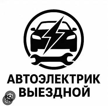 Выездной автоэлектрик Профессиональная диагностика и ремонт