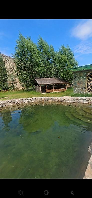 аренда земли: 31 соток, Для сельского хозяйства, Тех паспорт, Договор купли-продажи — 4