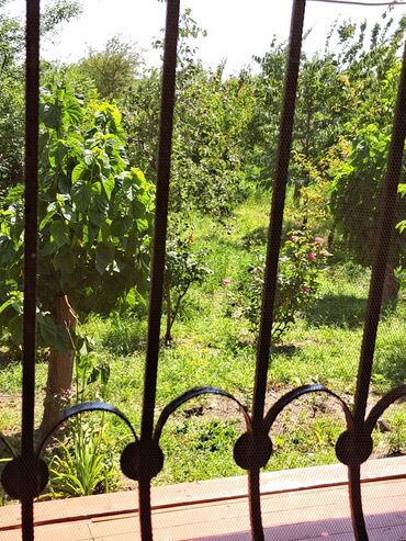 Bağ evlərinin satışı: Zerdab rayonu,Melikli kendinde kupcali,30sota yaxin heyeti olan ev -da lalafo.az — 11 Bağ evlərinin satışı: Zerdab rayonu,Melikli kendinde kupcali,30sota yaxin heyeti olan ev — 11