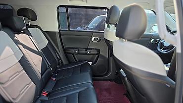 BAW: BAW : 2024 г., 1.5 л, Автомат, Гибрид, Внедорожник — 8