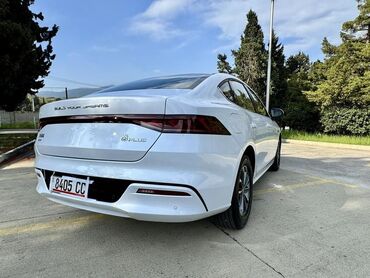 BYD: BYD : 1.5 l | 2024 il 390 km Sedan — 12