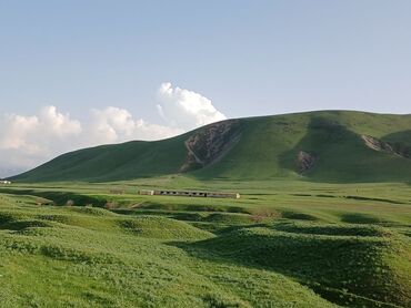 Сельхоз предприятия: Продаю Кошара, 50 соток, Действующий, Без оборудования, Электричество — 21