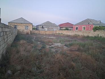 yevlax emlak: 4 sot, Tikinti, Mülkiyyətçi, Kupça (Çıxarış) — 1