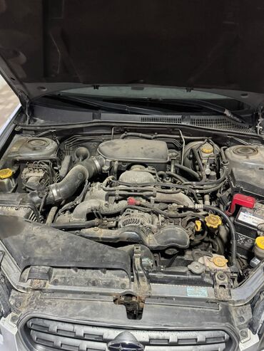 Subaru: Subaru Outback: 2006 г., 2.5 л, Автомат, Бензин, Универсал — 7