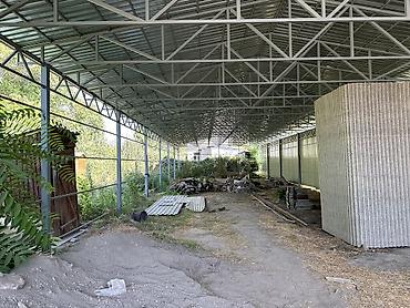продаю садик: Продаю дом 6 комнат Навес большой Газ Канализация центральная Вода — 10