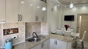 здаю квартиру дом: 2 комнаты, 52 м², 4 этаж, Евроремонт — 2