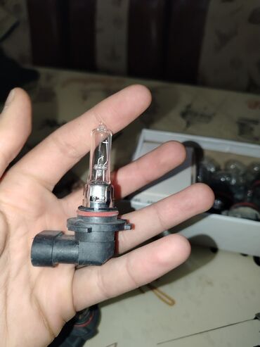kerosin lampa: İşıq lampası
