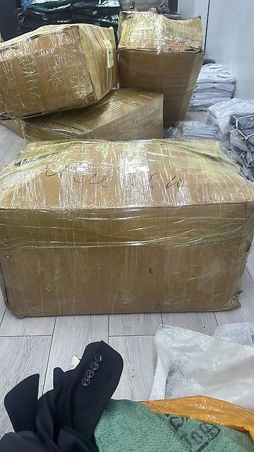 Кампа башчысынын жардамчысы