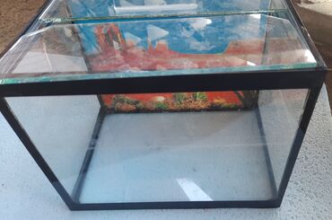 dve lutke iz trefolina: Akvarijum za ribice,na poklon pumpica za ciscenje vode i dve hranice