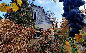 Продажа дач: Уважаемые друзья ! Предлагаю вашему вниманию уютный дачный домик 40 м2 — 2