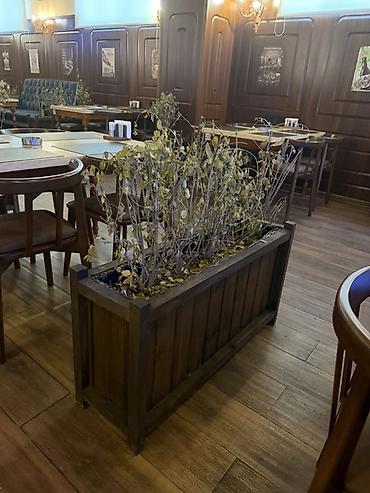 25 ededdir Taxta dekorativ uzun dibçək (planter) - Material: bərk