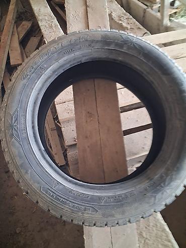 Шиналар: Шиналар 205 / 55 / R 16, Кыш, Колдонулган, Комплект, GoodYear — 2