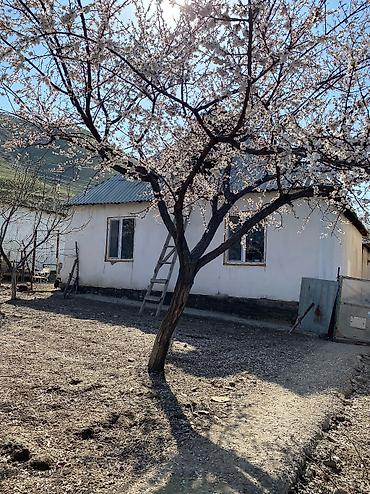 Продажа коттеджей и домов: Продаю дом 100 м² Имеется центральная канализация, газ, красная книга at lalafo.kg — 6 Продажа коттеджей и домов: Продаю дом 100 м² Имеется центральная канализация, газ, красная книга — 6