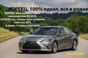 лексус машины: Lexus ES: 2020 г., 2.5 л, Гибрид, Седан