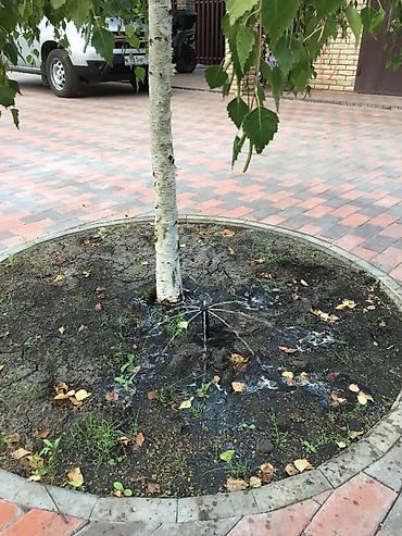 Теплицы: Теплицы — 5