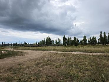 Жер тилкелерин сатуу: 6 соток, Курулуш, Кызыл китеп — 5