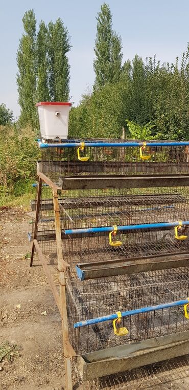 домик для животных: Продаю б/у ( 1 комплект на 96 кур) многоярусную, готовую к