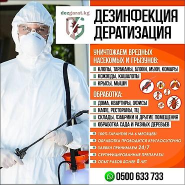 Дезинфекция, дезинсекция: Дезинфекция, дезинсекция, | Клопы, Блохи, Тараканы, | Транспорт, Офисы, Квартиры — 2