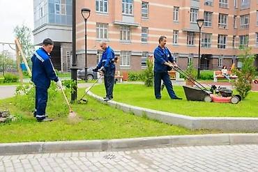 ниже: Мусор заберем с собой 🌿 Покос травы и уборка территории в Бишкеке! 🌿 — 6