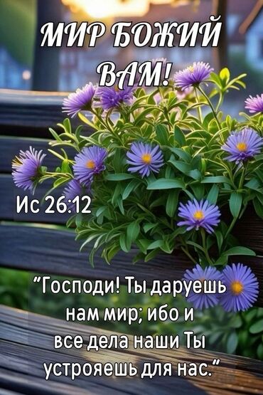 дом бишкекке: Ищу дом 🏡 под квартиру в сельский местности.магу сделать ремонт