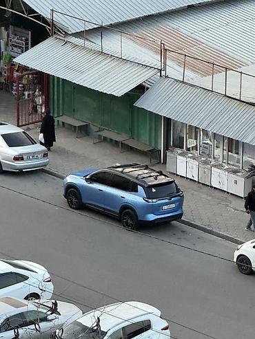 Weltmeister: Weltmeister W6, 2022 г., 54000 км — 14