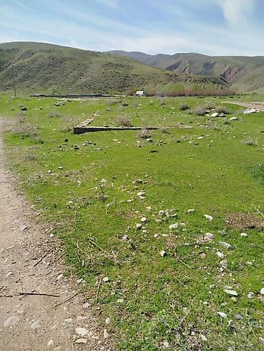 вагон нарын: 20 соток, Курулуш, Кызыл китеп — 1