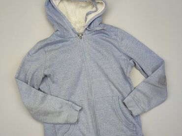 Sweatshirts: Sweatshirt, 2XL (EU 44), condition - Good