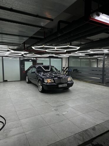 американская короткошёрстная кошка купить: Mercedes-Benz S-Class: 1997 г., 5 л, Автоматические, Бензин, Седан