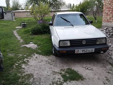 Volkswagen: Volkswagen Golf: 1988 г., 1.8 л, Автомат, Бензин, Хэтчбэк