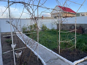 Продажа домов: Дом, 180 м², 5 комнат, Собственник, Евроремонт at lalafo.kg — 6 Продажа домов: Дом, 180 м², 5 комнат, Собственник, Евроремонт — 6