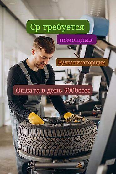 ТТС, унаа бизнеси: Жумушчу керек, Төлөм: Күнүмдүк, Тажрыйбасыз, Тамактануу — 1