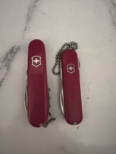ножи для дробилки: Продаю швейцарские ножи