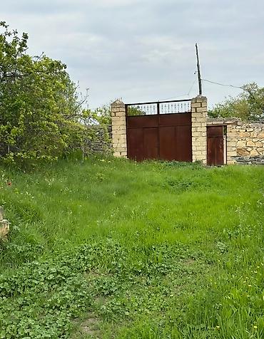 2 otaqlı mənzil kiraye: 31 sot, Tikinti, Mülkiyyətçi, Kupça (Çıxarış) — 2