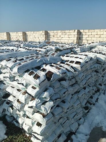 Kakabit: Kakabit : KOKO CHAMPİON. Meşokun biri 40 qəpik. Meşokda 2 kq olur — 3