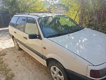 мухобойка на спринтер: Volkswagen Passat Variant: 1991 г., Универсал — 5