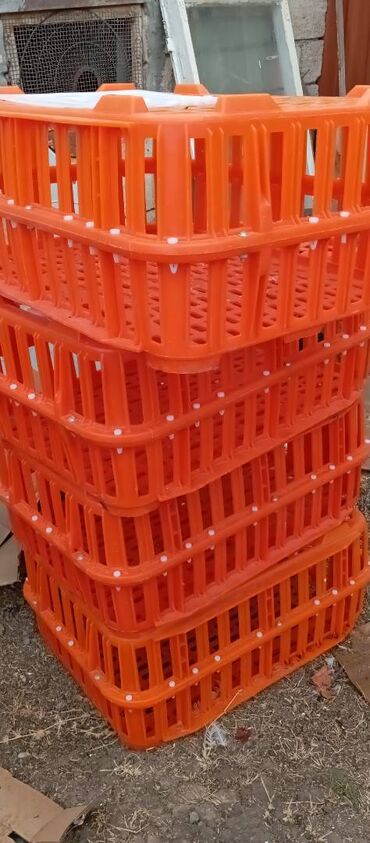 Akvarium aksessuar və ləvazimatları: Təcili satılır.6 ədədi 240manat — 2