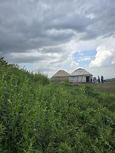 конный шлем: Аренда юрты, Каркас Деревянный, 100 баш, С полом, Самовар, Казан — 6