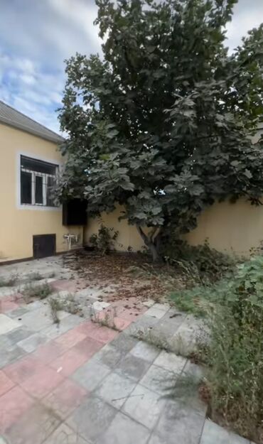 Həyət evləri və villaların satışı: Binəqədi qəs. 3 otaqlı, 100 kv. m, Yeni təmirli -da lalafo.az — 4 Həyət evləri və villaların satışı: Binəqədi qəs. 3 otaqlı, 100 kv. m, Yeni təmirli — 4