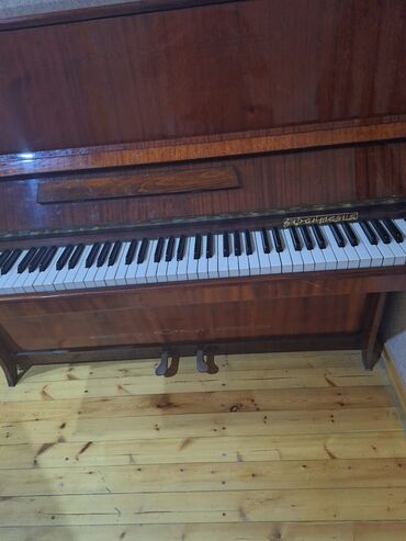 Gitaralar: Piano, Akustik