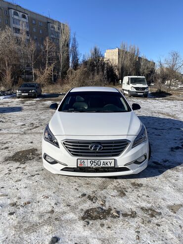 хюндай саната 2010: Hyundai Sonata: 2017 г., 2 л, Автомат, Газ, Седан
