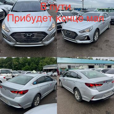 hynday sonata: Hyundai Sonata: 2018 г., 2 л, Автомат, Газ, Седан