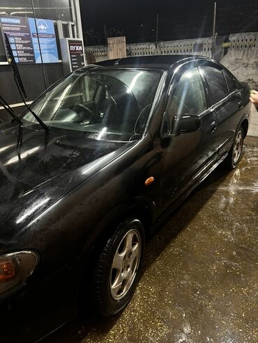 самый дешевый машина: Nissan Almera: 2004 г., 1.8 л, Автомат, Бензин, Седан