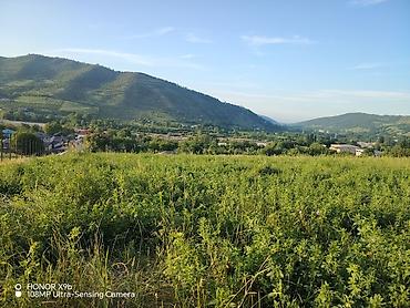 cıxarış nədir: 25 sot, Tikinti, Mülkiyyətçi, Kupça (Çıxarış) — 1