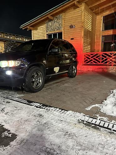 BMW: BMW X5: 2002 г., 4.4 л, Бензин, Кроссовер — 2
