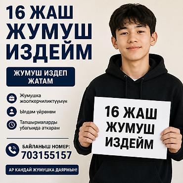 работа с 16: Услуга: молодой кандидат 16 лет ищет работу. Ключевые качества и — 1