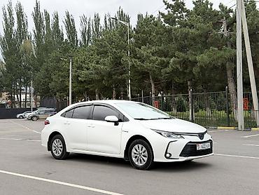 e53 amg: Toyota Corolla: 2021 г., 1.8 л, Автомат, Гибрид, Седан — 3