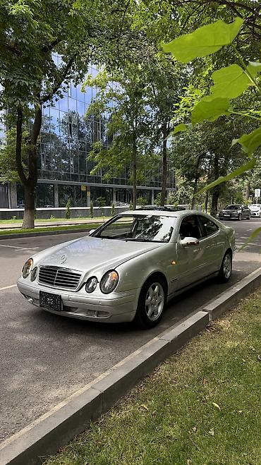 мерс clk: Mercedes-Benz CLK-Class: 1998 г., 3.2 л, Автомат, Бензин, Купе — 2